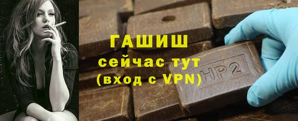 ECSTASY Богданович