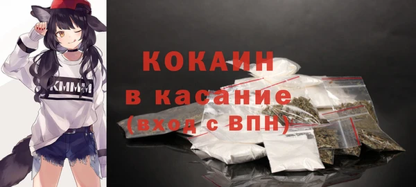 ECSTASY Бородино