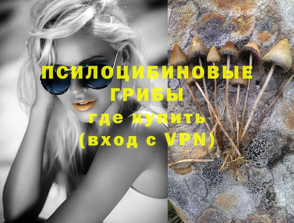 ECSTASY Бронницы