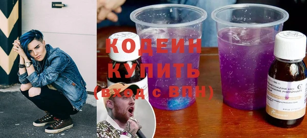 ECSTASY Бородино