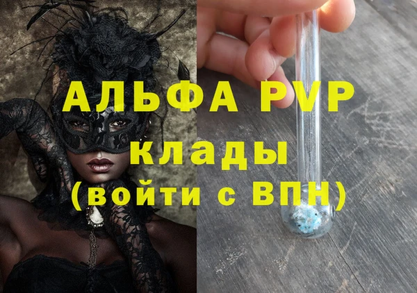 ECSTASY Бородино
