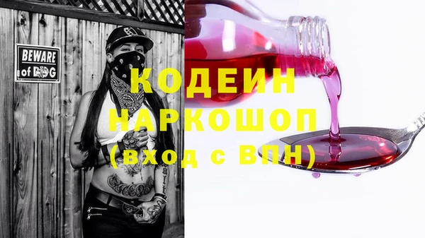 ECSTASY Бородино