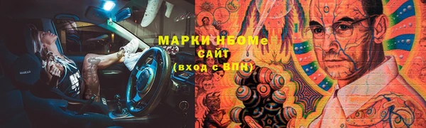 ECSTASY Бородино