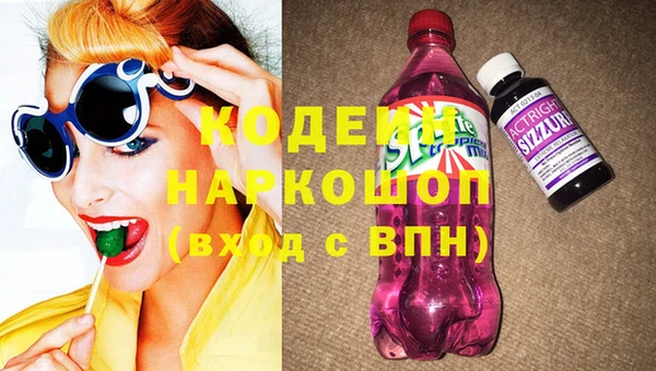 ECSTASY Бородино