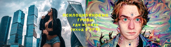 spice Бугульма
