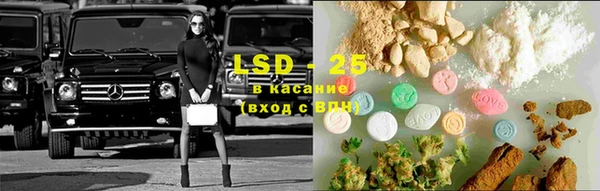 ECSTASY Бородино