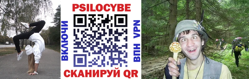 darknet телеграм  Серпухов  Галлюциногенные грибы MAGIC MUSHROOMS  как найти закладки 